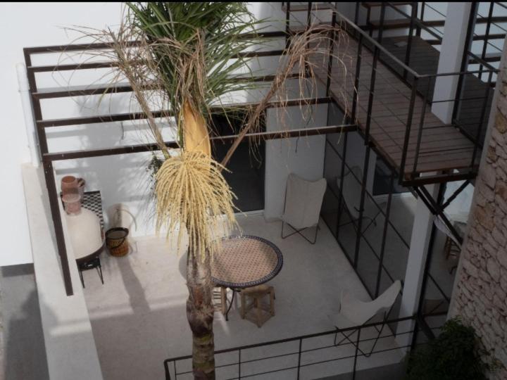 Tigmi Anis Bed & Breakfast Essaouira Ngoại thất bức ảnh